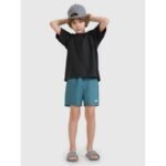 Boys boardshorts 4F Junior 4FJRMM00UBDSM110-46S