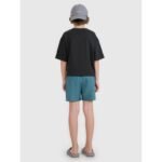 Boys boardshorts 4F Junior 4FJRMM00UBDSM110-46S - Image 3