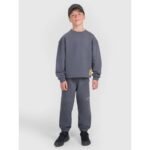 Boys jogger sweatpants 4F 4FJRAW25TTROM1605-22S - Image 2