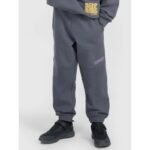 Boys jogger sweatpants 4F 4FJRAW25TTROM1605-22S
