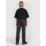 Boys jogger sweatpants 4F 4FJRAW25TTROM1663-22S - Image 3