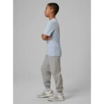 Boys jogger sweatpants 4F 4FJRMM00TTROM1823-25M - Image 3