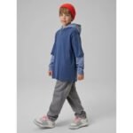 Boys jogger sweatpants 4F 4FJRSS26TTROM1733-24S - Image 7