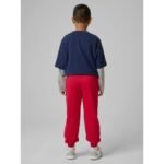 Boys jogger sweatpants 4F 4FJRSS26TTROM1824-62S - Image 2