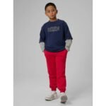 Boys jogger sweatpants 4F 4FJRSS26TTROM1824-62S