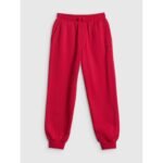 Boys jogger sweatpants 4F 4FJRSS26TTROM1824-62S - Image 7
