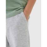 Boys jogger sweatpants 4F 4FJWMM00TTROM1188-25M - Image 2