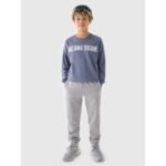 Boys jogger sweatpants 4F Junior 4FJRAW24TTROM1175-25S