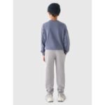 Boys jogger sweatpants 4F Junior 4FJRAW24TTROM1175-25S - Image 5