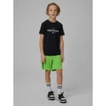 Boys quick-drying sports shorts 4F 4FJRSS26TFSHM1693-45S - Image 2