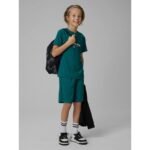 Boys quick-drying sports shorts 4F 4FJRSS26TFSHM1693-46S