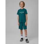Boys quick-drying sports shorts 4F 4FJRSS26TFSHM1693-46S - Image 4