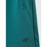 Boys quick-drying sports shorts 4F 4FJRSS26TFSHM1693-46S - Image 8