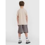 Boys sweatpants 4F 4FJRSS25TSHOM684-23S - Image 2