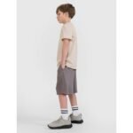 Boys sweatpants 4F 4FJRSS25TSHOM684-23S - Image 3