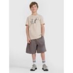 Boys sweatpants 4F 4FJRSS25TSHOM684-23S