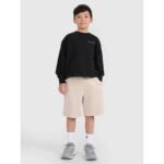 Boys sweatpants 4F 4FJRSS25TSHOM684-83S