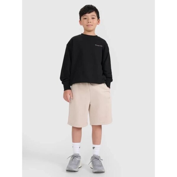 Boys sweatpants 4F 4FJRSS25TSHOM684-83S
