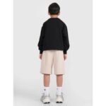 Boys sweatpants 4F 4FJRSS25TSHOM684-83S - Image 4