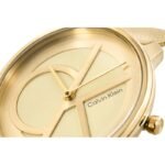 CALVIN KLEIN Iconic Mesh Womens Watch 25200034 + BOX - Image 4