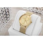 CALVIN KLEIN Iconic Mesh Womens Watch 25200034 + BOX - Image 5