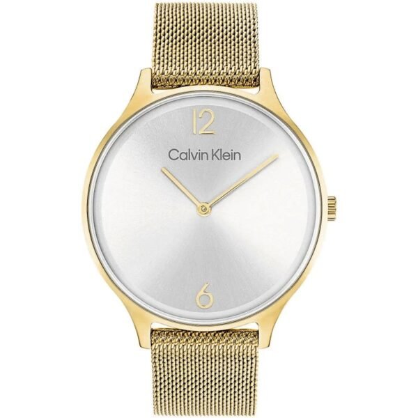 CALVIN KLEIN Timeless Mesh Womens Watch 25200003 + BOX