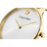 CALVIN KLEIN Timeless Mesh Womens Watch 25200003 + BOX - Image 4