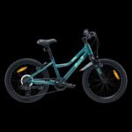 Childrens Bike Radvik Viking 20 92800597756