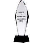 Engraved glass trophy + paint filling - Image 2