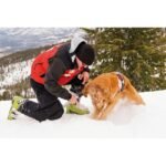 EVEREST TELESCOPIC CAR SNOW SHOVEL 68.5-71.5-82CM - Image 2