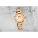 FOSSIL Karli BQ3181 Womens Watch + BOX - Image 6