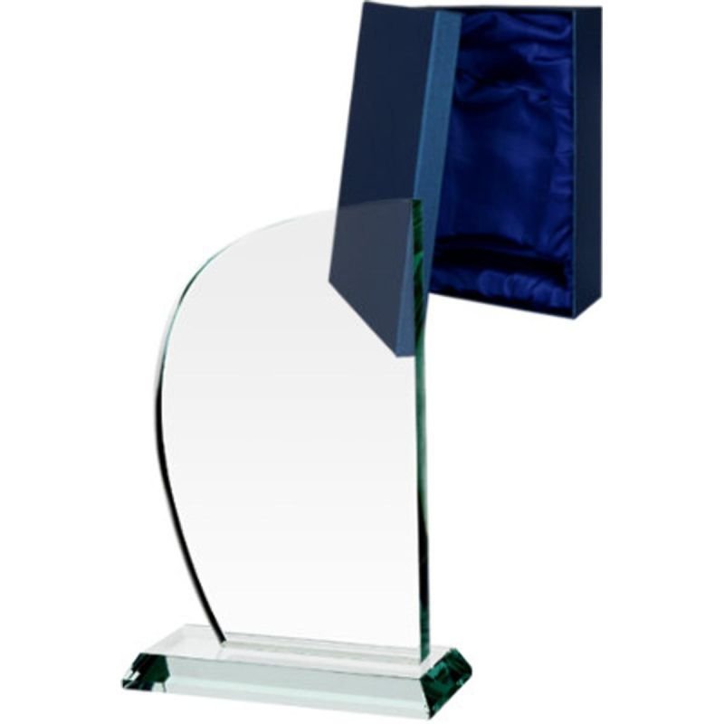 lupin-wear-ca-glass-trophy-1841832 Glass trophy - Image 1