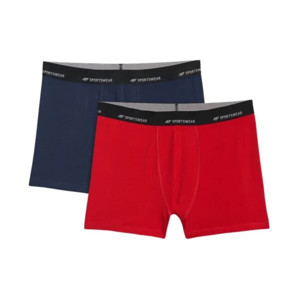 Mens boxer shorts 4F M080 2-pack multicolor 4FWMM00UBXSM080 90S
