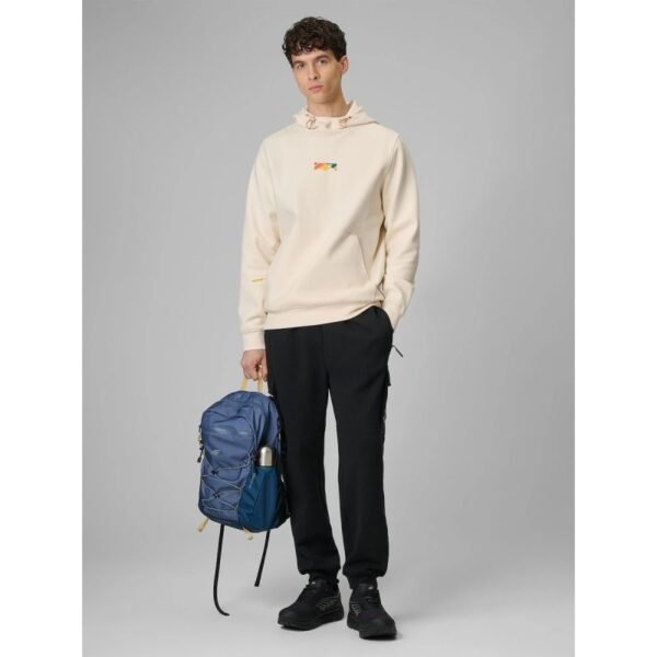 Mens cargo sweatpants 4F 4FRSS26TTROM1916-20S