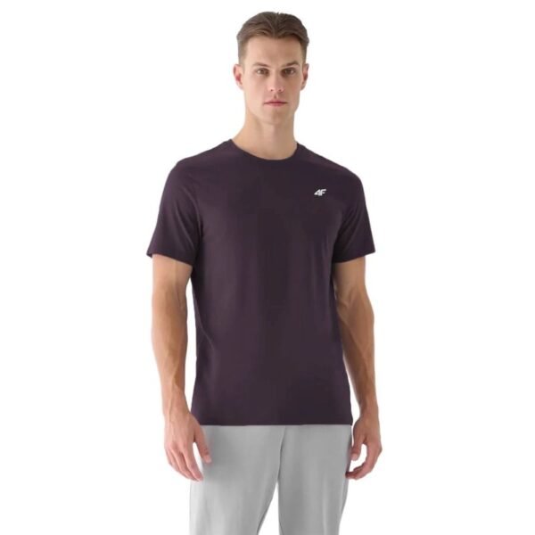 Mens cotton T-shirt 4F 4FWSS25TTSHM3096-50S