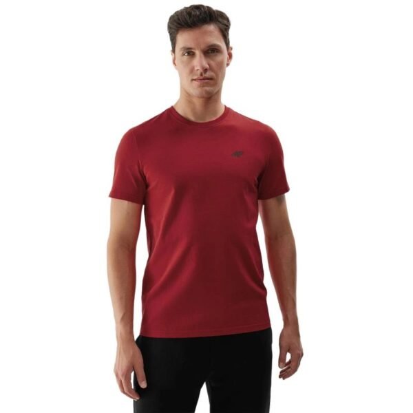 Mens cotton T-shirt 4F 4FWSS26TTSHM4215-61S