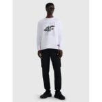 Mens longsleeve regular with print 4F 4FRAW25TLONM606-10S - Image 3