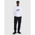 Mens longsleeve regular with print 4F 4FRAW25TLONM606-10S - Image 6