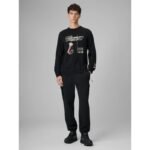 Mens longsleeve regular with print 4F 4FRSS26TLONM674-20S - Image 6