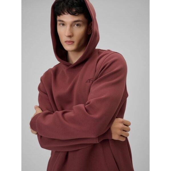 Mens regular hooded sweatshirt 4F 4FRSS26TSWSM2793-60S