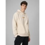 Mens regular hooded sweatshirt 4F 4FRSS26TSWSM2894-12S