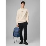 Mens regular hooded sweatshirt 4F 4FRSS26TSWSM2894-12S - Image 3