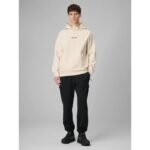 Mens regular hooded sweatshirt 4F 4FRSS26TSWSM2894-12S - Image 8