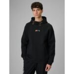 Mens regular hooded sweatshirt 4F 4FRSS26TSWSM2894-20S