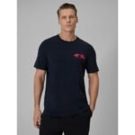 Mens regular plain T-shirt 4F 4FRSS26TTSHM3992-31S