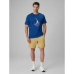 Mens sweatpants 4F 4FRSS26TSHOM0930-83S