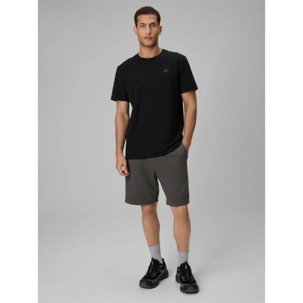 Mens sweatpants 4F 4FRSS26TSHOM0970-23M