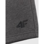 Mens sweatpants 4F 4FRSS26TSHOM0970-23M - Image 7