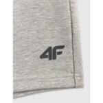 Mens sweatpants 4F 4FRSS26TSHOM0970-27M - Image 8