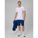 Mens sweatpants 4F 4FRSS26TSHOM0970-30S